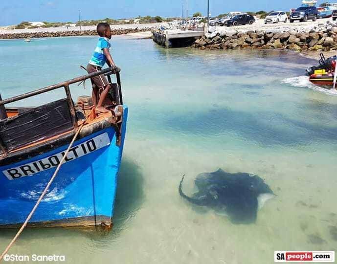 25 The Tides Διαμέρισμα Struisbaai Εξωτερικό φωτογραφία